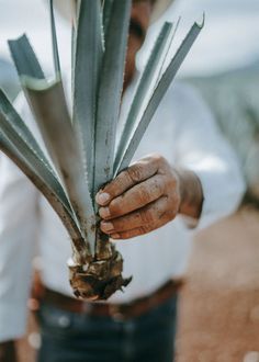 a man is holding some plants in his hands