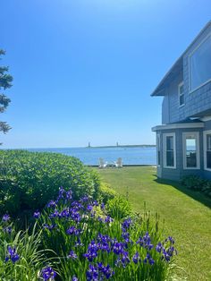 some purple flowers are in front of a house and the water is blue with white windows