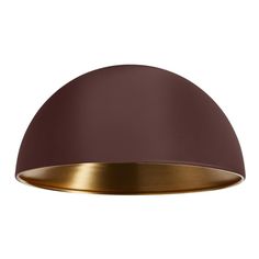 an image of a light fixture on a white background with a brown shade over it