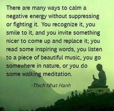 For those who have to deal with them, negative energy people suck. Literally. Hopefully this advice might help... Thich Nhat Hanh Quotes, Thich Nhat Hanh, New Energy, Negative Energy, Namaste, Mantra, Inspirational Words