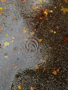 an umbrella is sitting in the middle of a puddle with leaves floating on it's surface