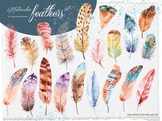 watercolor feathers clipart set