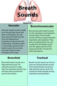 the different types of breathing sounds