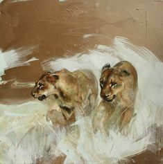 two lions walking side by side on a brown and white background