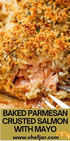 baked parmesan crusted salmon with mayo on a white plate and text overlay that reads baked parmesan crusted salmon with mayo