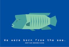 a fish with the words we were born from the sea