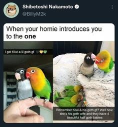 two birds sitting on top of a person's hand with the caption, when your home produces you to the one