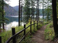 a path in the woods leading to a lake