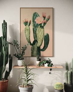 some plants are sitting on a shelf in front of a wall with a large painting