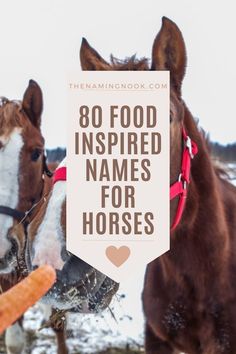 Click through to find 65 cute food-inspired names for horses and ponies that are as delightful as they are delicious. From sweet treats to savory delights, each name offers a humorous tribute to the culinary wonders that tantalize our taste buds and warm our hearts... Food Inspired, The Stables, Cute Names