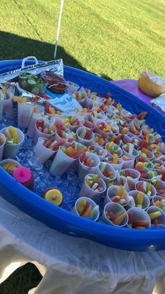 a large blue tub filled with lots of food on top of a lush green field