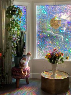 a cat sitting on a stool in front of a window with colorful lights shining through it