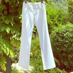 Alice & Olivia White Pants, Size 2, Flare Olivia White, White Pants, Alice Olivia, Boot Cut, Pant Jumpsuit, Color White, Size 2, Pants For Women, Pants