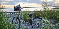 a bike parked on the side of a beach next to some grass and water at sunset