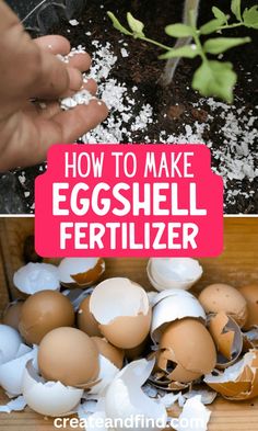 Using eggshells for plants: eggshell fertilizer and eggshell water. Egg Shell Fertilizer, Natural Plant Fertilizer, Garden Remedies, Plant Care Houseplant, Vegetable Garden Diy, Backyard Vegetable Gardens, Garden Compost, Smart Garden, Fertilizer For Plants