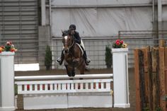 a person on a horse jumping over an obstacle