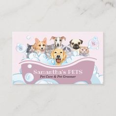 a business card with four dogs and three cats in the water, on a white background