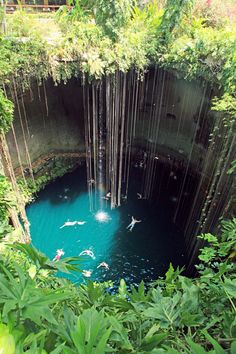 people are swimming in the blue pool surrounded by greenery and hanging from the ceiling