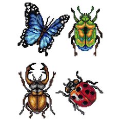 four different types of bugs on a white background