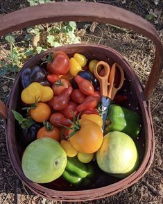 a basket filled with lots of different types of vegetables