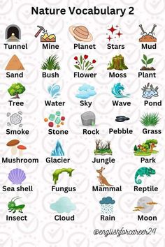 an image of nature vocaulary 2 poster with the words in different languages