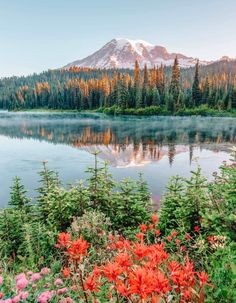 a lake surrounded by trees and flowers with a mountain in the background