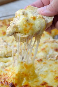 a hand holding a piece of cheese pizza