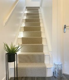 a white staircase with carpeted steps leading up to the second floor and potted plant