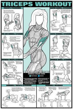 a poster with instructions on how to do the triceps workout