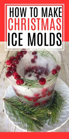 a bowl filled with ice and cranberries on top of a plate