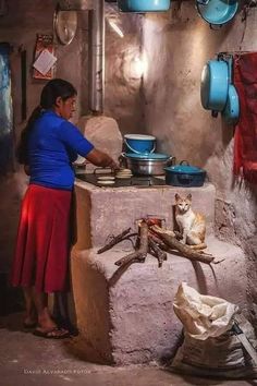 a woman cooking food in a kitchen with a cat sitting on the stove