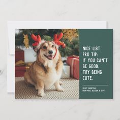 a card with an image of a dog wearing reindeer antlers on its head and saying, nice list pro tip if you can't be good, try being cute