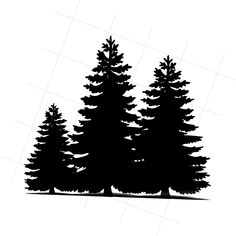 three pine trees silhouetted against a white background