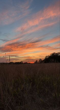 the sun is setting over an open field with tall grass and trees in the background