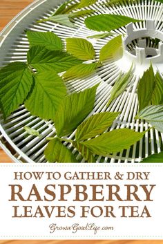 the words how to gather and dry raspberry leaves for tea on top of a grill