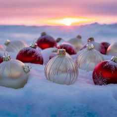 red and white christmas ornaments in the snow at sunset or dawn with sun setting behind them