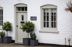 three potted plants in front of a white brick building with shutters and windows