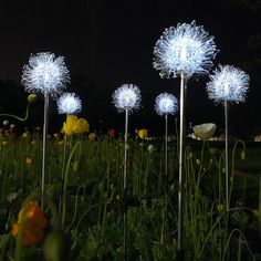 some white flowers are in the grass and one is lit up with blue led lights