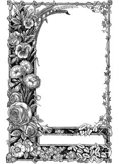 an ornate frame with flowers and leaves on the edges, vintage line drawing or engraving