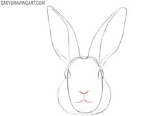 how to draw a rabbit's head with the nose and ears drawn in pencil