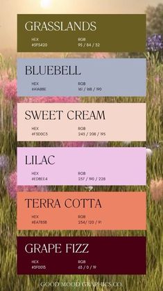 Blue Green Purple Orange Color Palette, Color Pallet Hex Code, Coloring Color Palette, New England Color Palette, Colors That Go With Purple, Baby Shower Color Palette, Color Palette With Purple, Color Palette Nursery, Spring Pallete