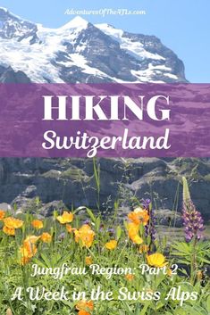 the cover of hiking switzerland part 2, with flowers in front of a mountain range