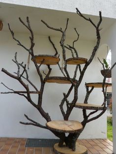 a tree that is sitting in the middle of a floor next to a wall with shelves on it