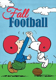 a book cover with a cartoon dog trying to catch a football