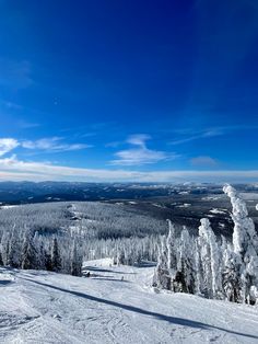 a person riding skis on top of a snow covered slope with trees in the background