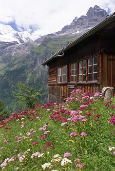 an old wooden cabin in the mountains with flowers and rain falling on it's roof