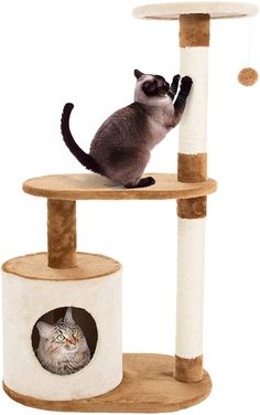 a cat playing with its scratching post on the top of a cat tree in front of a white background