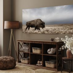 a large bison standing in the middle of a field on a wall above a bookcase