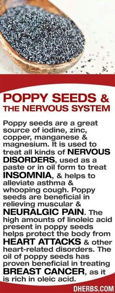 Poppy seeds Lyme Pain, Aries Spring, True Vine, Super Sunday, Food Info, Green Earth, Poppy Seed