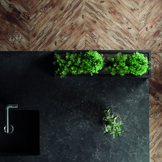 an overhead view of some green plants on a black counter top with a faucet